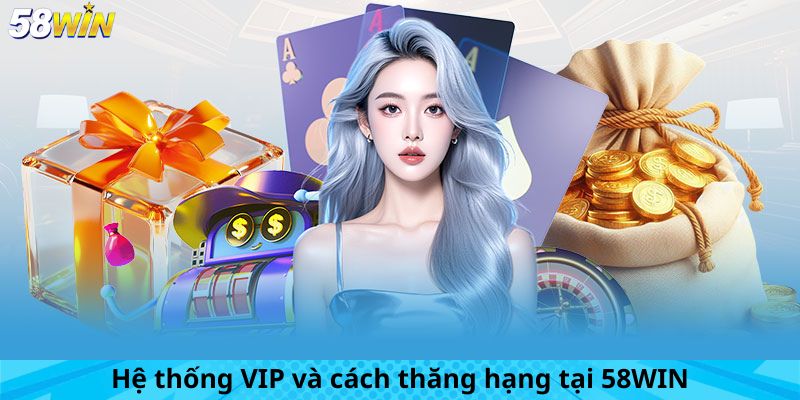 Chính Sách Thành Viên Và VIP